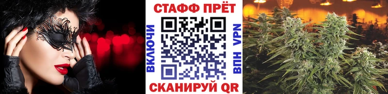 Где купить наркотики Новый Уренгой Амфетамин  МЕГА вход  ГАШ  Cocaine  Конопля  A PVP 