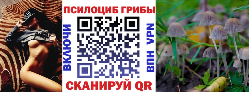 Галлюциногенные грибы мицелий  Новый Уренгой 