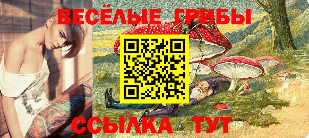 Новый Уренгой  Псилоцибиновые грибы MAGIC MUSHROOMS  Вход с VPN 