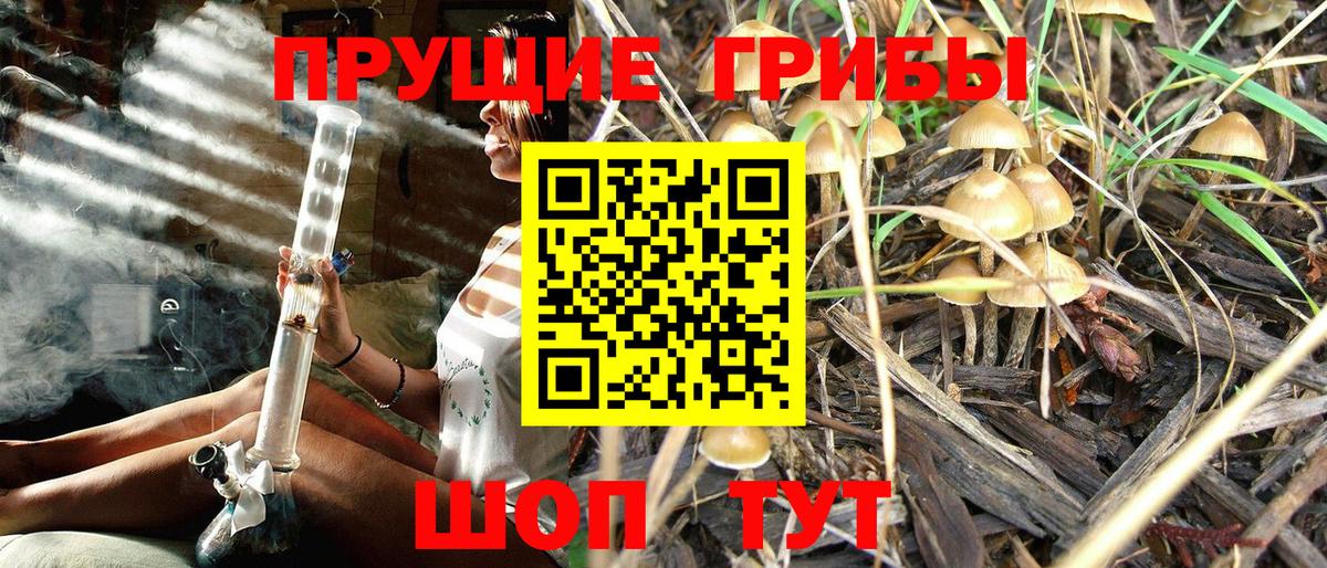 Галлюциногенные грибы ЛСД Новый Уренгой